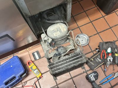 Gallery Img 3617 13 1763149952